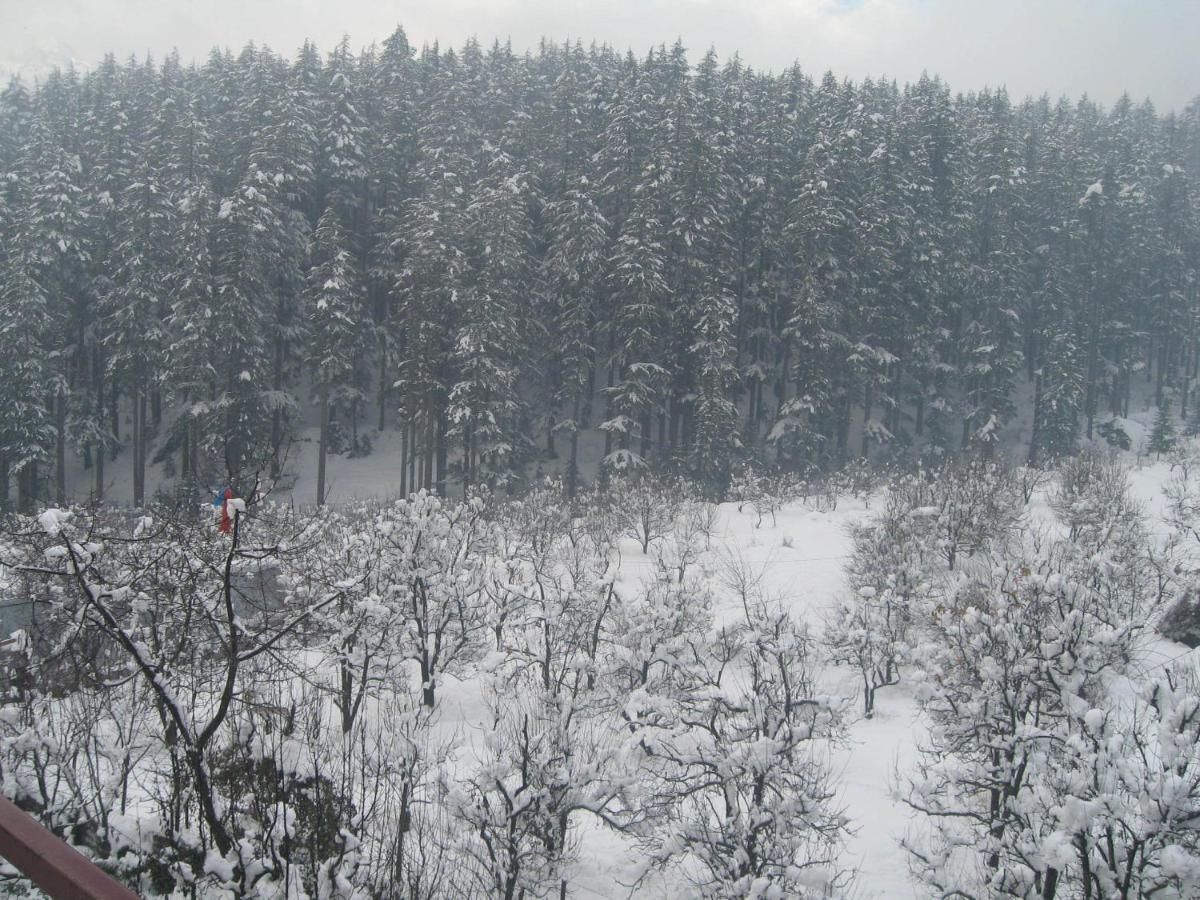 Snow Valley Resorts & Spa Manali Exterior photo